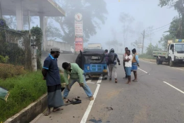 අධික මීදුම් හේතුවෙන් කොටගලදී අනතුරක්