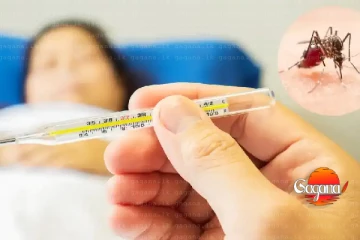 කොළඹ වසාගත් දරුණු රෝගයක්