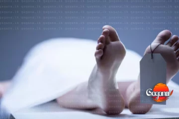 සරසවි සිසුවෙක් හදිසියෙම ජීවිතක්ෂයට