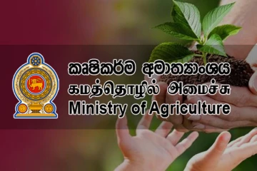 விவசாயிகளுக்கு மகிழ்ச்சி செய்தி - வழங்கப்படும் விசேட சலுகை!