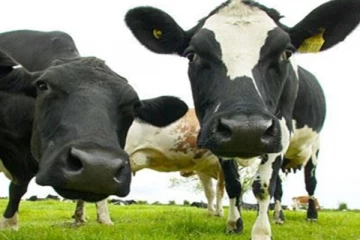 මිල්කෝ සමාගමෙන් කිරි ගොවීන්ට දැනුම්දීමක්..