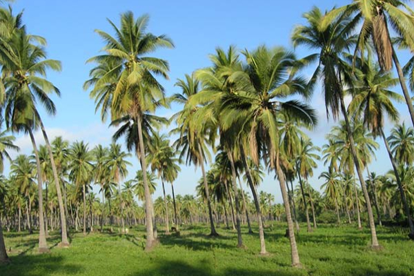 விவசாயிகளின் பிரச்சினைகளுக்கு தீர்வு : அமைச்சர் வெளியிட்ட அறிவிப்பு | Solving Farmers Problems Phone Number Introduce