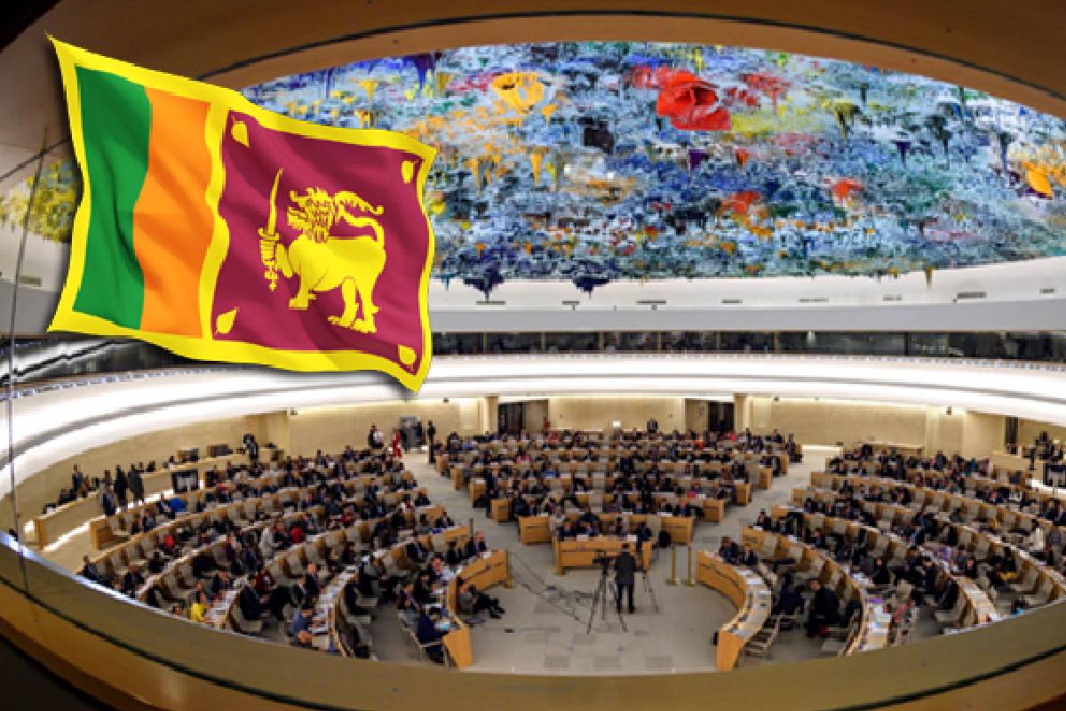 தமிழ் தேசிய இனத்தின் கோரிக்கைகளை அடைய வலுப்பெற வேண்டி புலம்பெயர் சமூகத்தின் அழுத்தம்! | Diaspora Community To Strengthen Tamil Nation