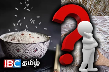 உலகின் மிகச்சிறந்த அரிசி எது தெரியுமா..!