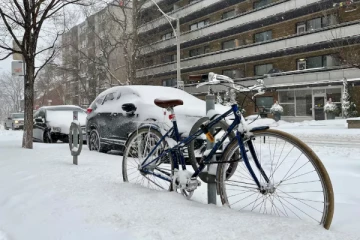 டொராண்டோவில் கடும் பனிப்பொழிவு பாடசாலைகள் மூடல்