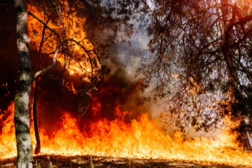 வானிலை மாற்றத்தால் சிக்கலில் மாட்டிக்கொண்ட ஆஸ்திரேலியா - தவிக்கும் பொதுமக்கள்