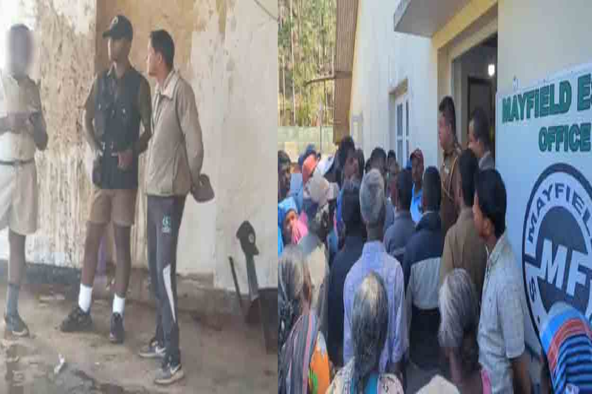 தோட்ட உதவி முகாமையாளர் மீது மாட்டு சாணத்தால் தாக்குதல் | Estate Assistant Manager Attacked With Cow Dung