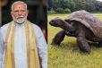 உலகின் மிக வயதான ஆமையை சந்தித்தார் பிரதமர் மோடி: செஷல்ஸ் நாட்டுக்கு 3 நாள் சுற்றுப்பயணம்