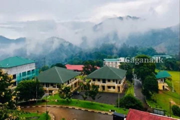 ඌව සරසවියේ ගැටුමකින් තිදෙනෙක් රෝහලේ