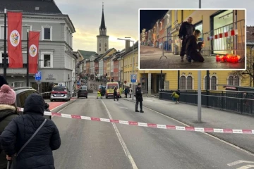 ஆஸ்திரியாவில் பயங்கர கத்திக்குத்து சம்பவம்: 14 வயது சிறுவன் உயிரிழப்பு