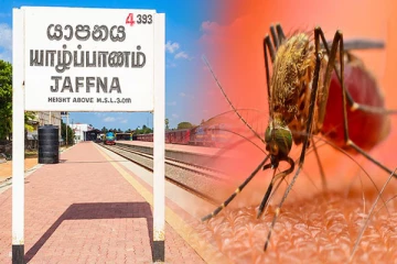 யாழில் அதிகரிக்கும் டெங்கு நோய் தாக்கம்: பொது மக்களுக்கு விடுக்கப்பட்டுள்ள எச்சரிக்கை