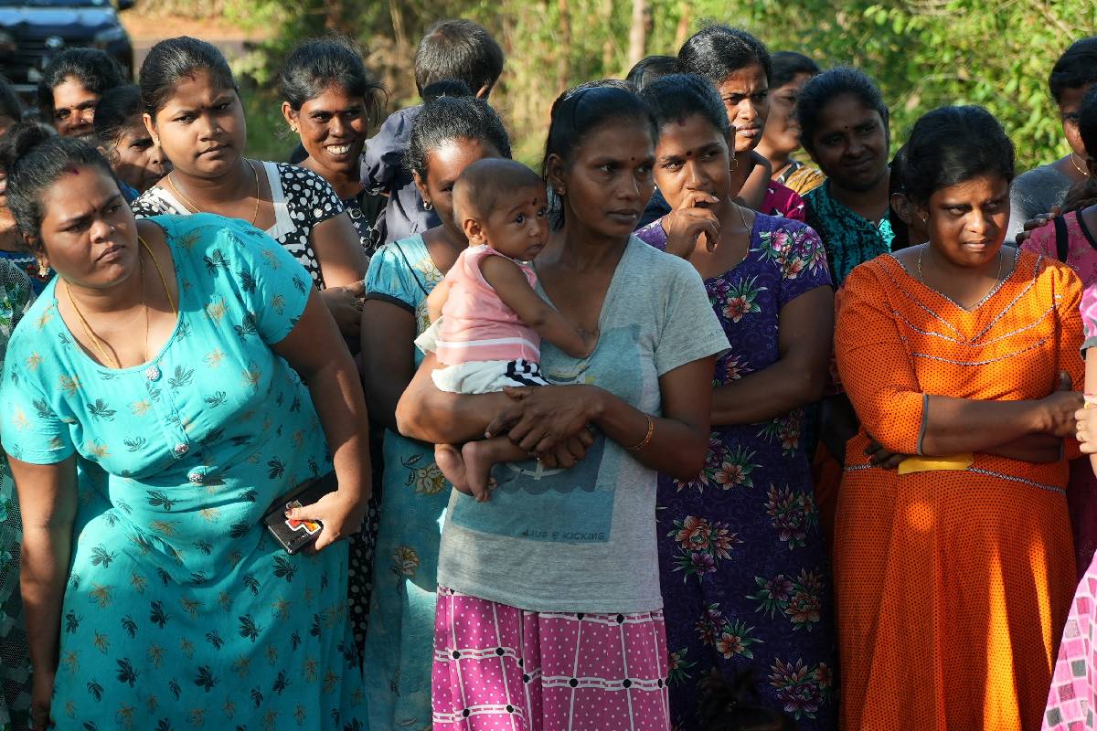தமிழின அழிப்பில் முன்னேறிச் செல்லும் பௌத்த சிங்கள அரசியல் | Sinhala Politics Destruction Tamil People தமிழின அழிப்பில் முன்னேறிச் செல்லும் பௌத்த சிங்கள அரசியல் | Sinhala Politics Destruction Tamil People