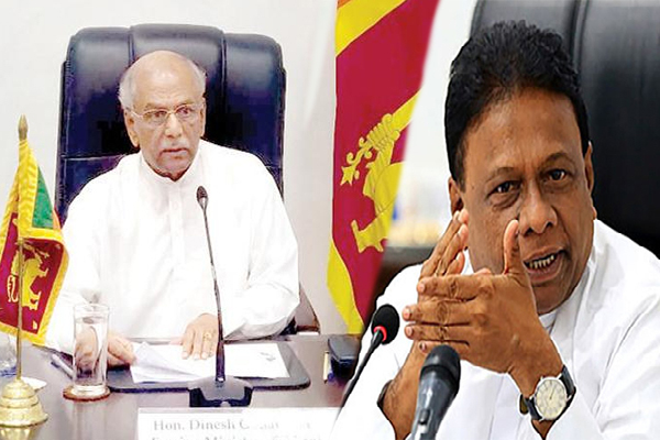 பொது நிதி நாடாளுமன்றக் குழுவின் புதிய தலைவராக ஹர்ச டி சில்வா நியமனம் | Public Finance Com Gets New Chairman பொது நிதி நாடாளுமன்றக் குழுவின் புதிய தலைவராக ஹர்ச டி சில்வா நியமனம் | Public Finance Com Gets New Chairman