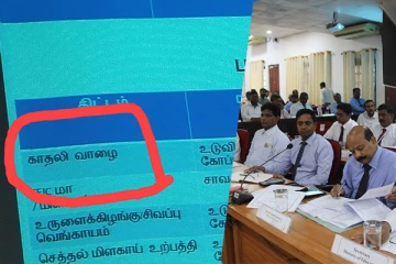 "காதலி" வாழை! யாழ்.மாவட்ட செயலக கலந்துரையாடலில் வினோதம்