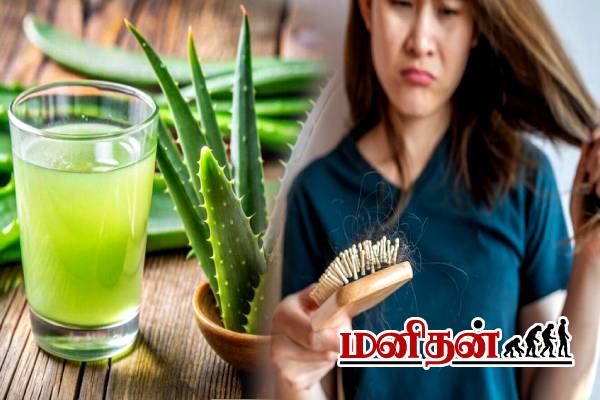 இரண்டு நாளில் தீர்வு.. இனி கொத்து கொத்தாக முடி கொட்டாது! | Home Remedies To Hair Fall In Tamil