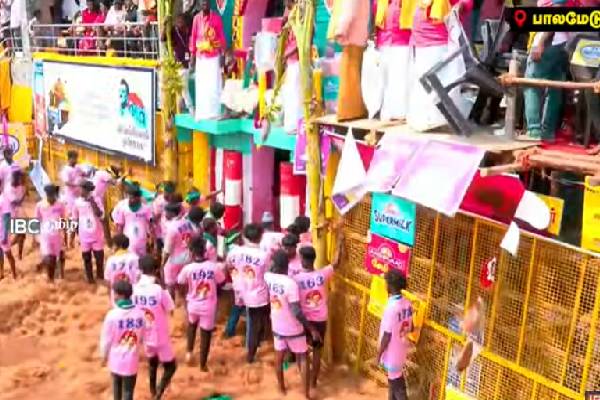 வெகு விமரிசையாக நடைபெறும் உலகப் புகழ்பெற்ற பாலமேடு ஜல்லிக்கட்டு போட்டி! நேரலை | Palamedu Jallikattucompetition Live Video