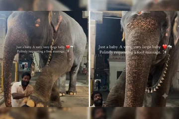 யானைக்கு கால் மசாஜ் செய்யும் பாகன்: இணையத்தில் பரவும் அழகான வீடியோ