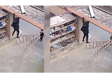 தாயின் உயிரை காப்பாற்றிய மகன்... - வைரலாகும் நெகிழ்ச்சி வீடியோ...!