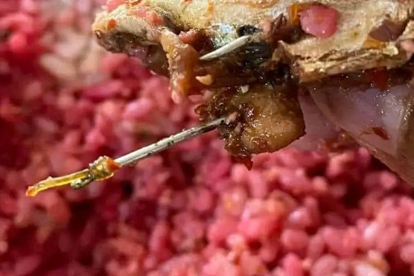 ஹோட்டலில் சாப்பிட்ட இலங்கையருக்கு காத்திருந்த பேரதிர்ச்சி! உணவு பார்சலில் தூண்டிலுடன் சிக்கிய மீன் ! | Sri Lanka Viral Photos Food