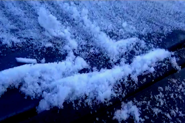 டொரொண்டோவில் உறைபனிபொழிவு குறித்து எச்சரிக்கை | Frost Expected In Parts Of The Greater Toronto டொரொண்டோவில் உறைபனிபொழிவு குறித்து எச்சரிக்கை | Frost Expected In Parts Of The Greater Toronto