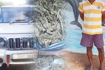 புத்தளத்தில் 1 கிலோகிராம் கேரள கஞ்சாவுடன் ஒருவர் கைது