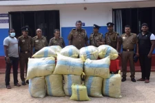 காங்கேசன்துறை கடற்கரையில் ஒதுங்கிய சுமார் 360 கிலோகிராம் எடையுடைய கஞ்சா பொதிகள் மீட்பு