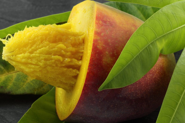 மாங்கொட்டைய இனி தூக்கி வீசிடாதீங்க...இப்படி செஞ்சா முடி காடு மாதிரி அடர்த்தியா வளரும்! | Health What Are The Benefits Mango Seeds