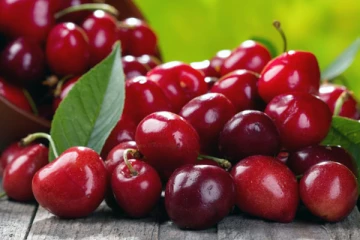 கோடை காலத்தில் செரி பழங்களை அடிக்கடி சாப்பிட வேண்டும் ; ஏன் தெரியுமா?