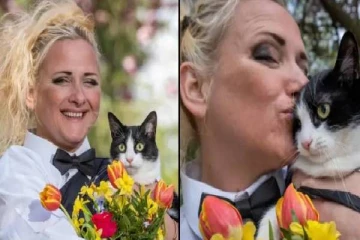 அழகிய பெண்ணோடு திருமணம்.. பூனைக்கு அடித்த அதிர்ஷ்டம்.. கடுப்பான 90’ஸ் கிட்ஸ்