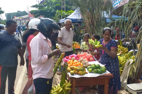 யாழில் களைகட்டும் தைப்பொங்கல் வியாபாரம்!(Photos) | Pongal Business Strat In Jaffna