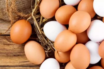 நாட்டிற்கு மில்லியன் கணக்கில் முட்டைகள் இறக்குமதி