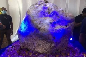 இலங்கைக்கு கிடைத்த அதிர்ஷ்டம்! 2000 ஆயிரம் கோடிக்கு விற்பனை செய்ய அரசாங்கம் மறுப்பு