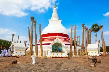 கொழும்பில் அடாத்தாக வைக்கப்பட்ட புத்தர்சிலை: அசாத்சாலியின் பகிரங்க குற்றச்சாட்டு (Video)