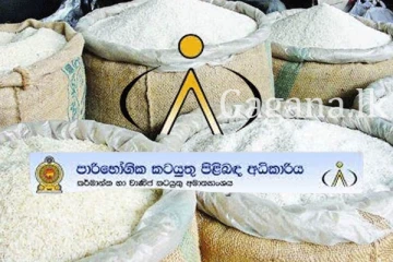 දින 9ක් තුළ පොළොන්නරුවෙන් සහල් කිලෝ කෝටියකට වැඩි ප්‍රමාණයක්.