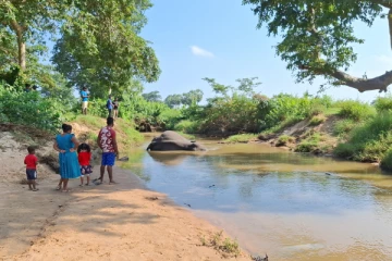 மட்டக்களப்பில் யானை சடலமாக மீட்பு
