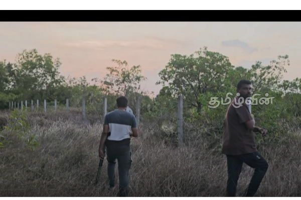 புதுக்குடியிருப்பு பகுதிக்குள் புகுந்து காட்டு யானைகள் அட்டகாசம்: விடுக்கப்பட்டுள்ள கோரிக்கை | Wild Elephants Enter Pudukudiyiruppu Area