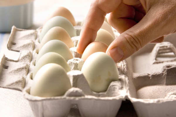 முட்டையை ஃபிரிட்ஜில் வைக்கலாமா?  மீறி வைத்தால் என்ன நடக்கும் | Can I Put Eggs In The Fridge