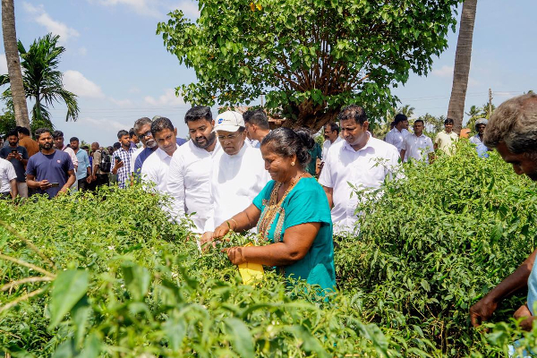 முதல் முதலில் இலங்கை ஜனாதிபதி ஒருவர் யாழ் குப்பிளான் கிராமத்திற்கு விஜயம்!(Photos) | First Time President Visit Jaffna Kuppilan