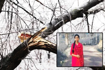 மரக்கிளை முறிந்து விழுந்ததில் மாணவி பலி