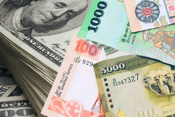 இலங்கை ரூபாவிற்கு எதிரான டொலரின் பெறுமதியில் ஏற்பட்டுள்ள மாற்றம் - ஐபிசி தமிழ்