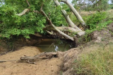 Penambangan pasir ilegal di distrik Maruthankulam! Orang-orang meminta untuk berhenti Penambangan pasir ilegal di distrik Maruthankulam! Orang-orang meminta untuk berhenti
