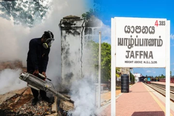 யாழில் இன்று முதல் விசேட டெங்கு ஒழிப்பு வேலைத் திட்டம் ஆரம்பம்