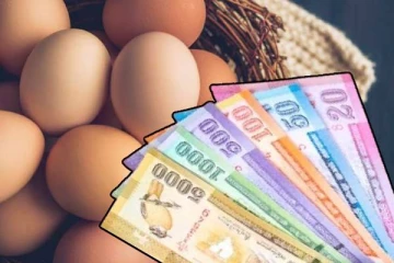 முட்டை விலை தொடர்பில் எழுந்துள்ள குற்றச்சாட்டு