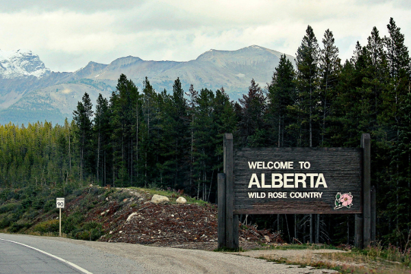 கனடாவிடமிருந்து விடுதலை வேண்டும்: மனு கொடுக்க திரண்ட மக்கள் | Long Que For Sign Petition Albert Left From Canada