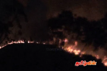 கொட்டகலை- ஸ்டோனிகிளிப் வனபாதுகாப்பு பகுதிக்கு தீ வைப்பு!