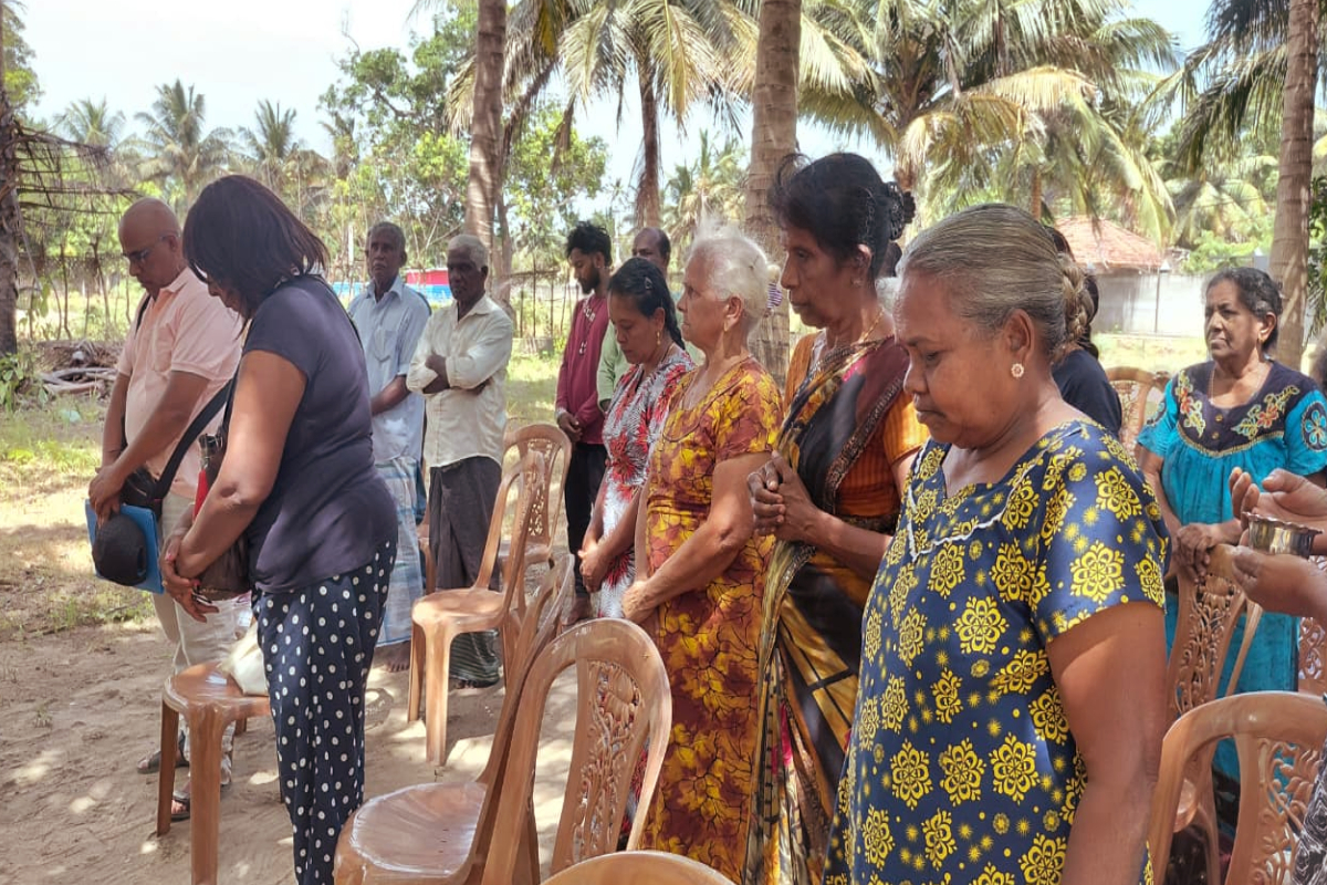 முல்லைத்தீவு மாவட்டத்தில் தென்னம்பிள்ளைகளின் வெண் ஈ கட்டுப்பாட்டு நடவடிக்கை ஆரம்பம் | Whitefly Control Measures For Coconut Seedlings முல்லைத்தீவு மாவட்டத்தில் தென்னம்பிள்ளைகளின் வெண் ஈ கட்டுப்பாட்டு நடவடிக்கை ஆரம்பம் | Whitefly Control Measures For Coconut Seedlings