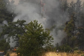 பயங்கர காட்டுத் தீ: அவசர அவசரமாக வெளியேற்றப்பட்டு மக்கள்!