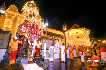 දළදා පෙරහැරට යන්නේ බලාගෙන, හිතා ගන්න බැරි මාෆියාවක්