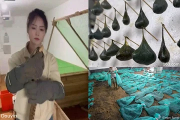 விஷ பாம்புகளை வளர்த்து கோடிகளில் வருமானம் ஈட்டும் இளம் பெண்