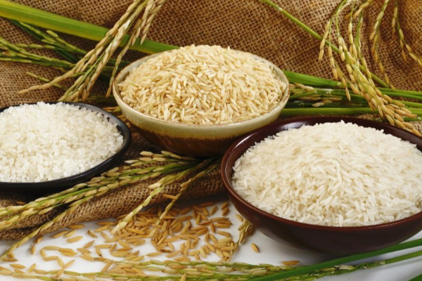 இந்தியா தொடர்பில் அமெரிக்காவின் கணிப்பு சாத்தியமாகுமா? | India S Rice Production Will Reach Peak Us இந்தியா தொடர்பில் அமெரிக்காவின் கணிப்பு சாத்தியமாகுமா? | India S Rice Production Will Reach Peak Us